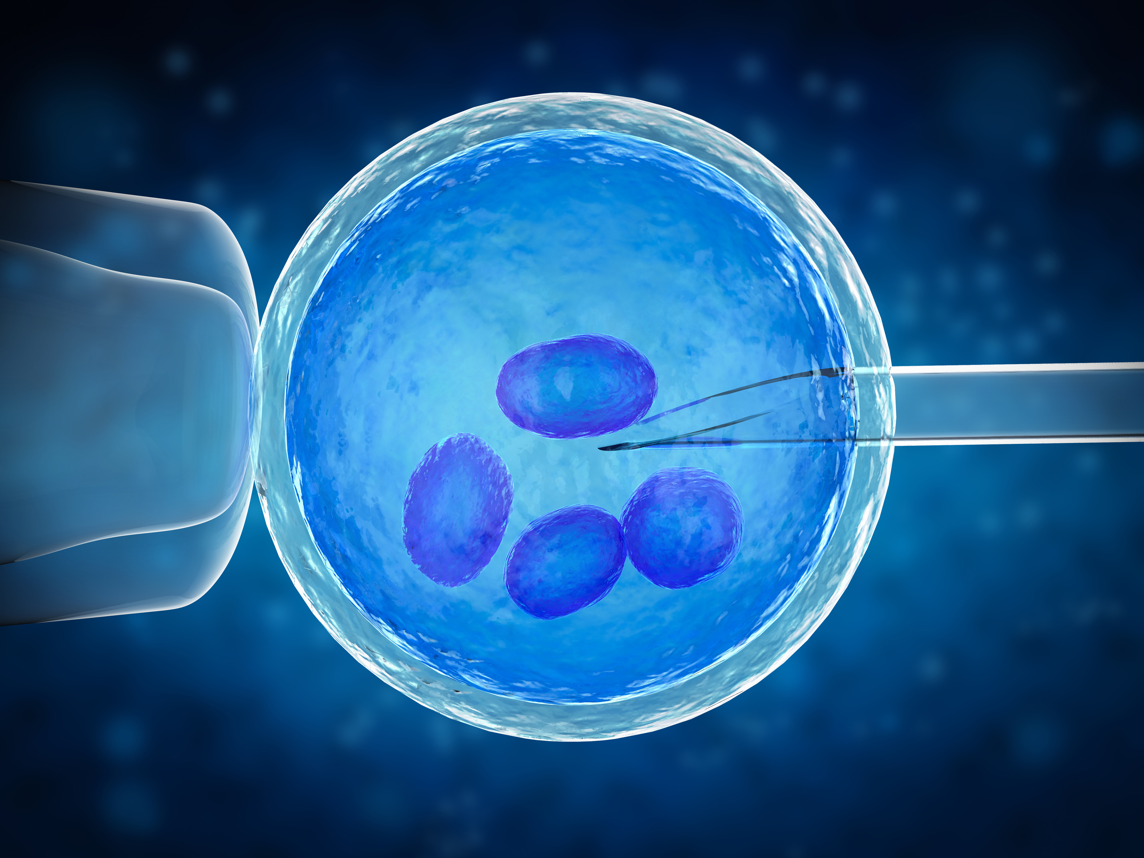 How PGT Genetic Testing Improves IVF Success Rates