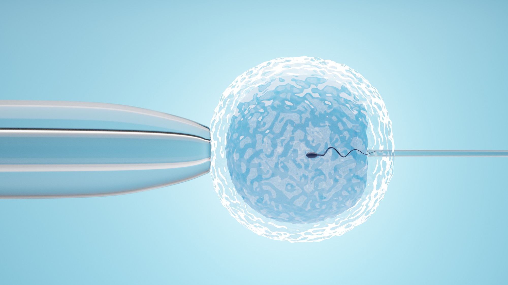 Fresh vs. Frozen Eggs in Fertility Treatment: Making the Right Choice