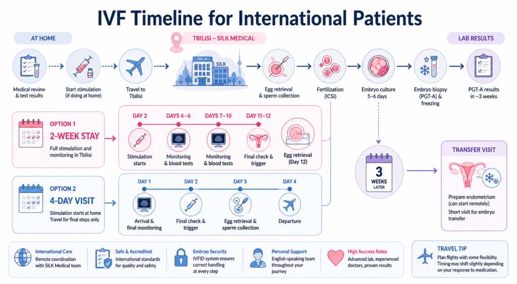 IVF Timeline for International Patients