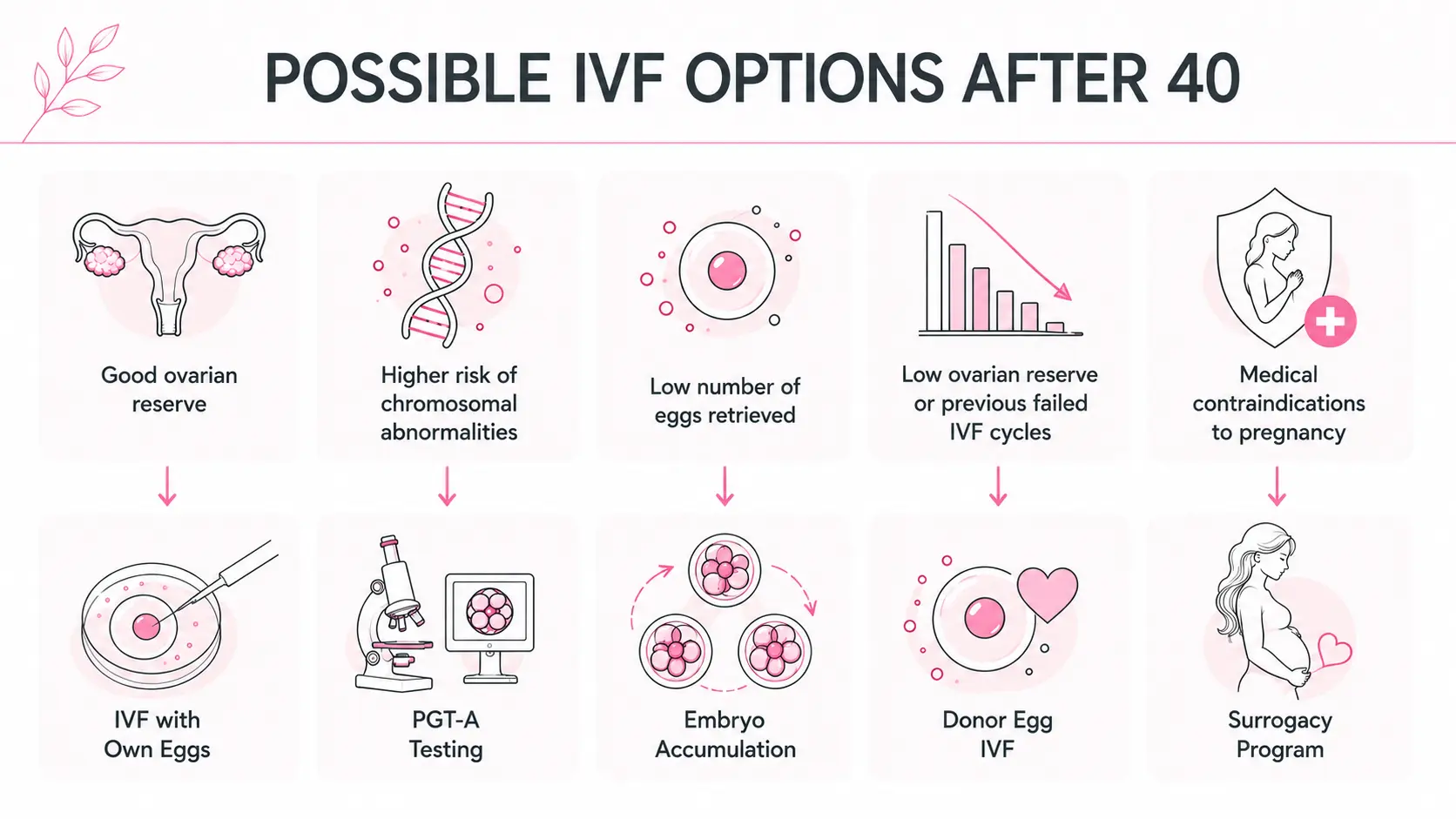 Possible IVF options after 40 infographic
