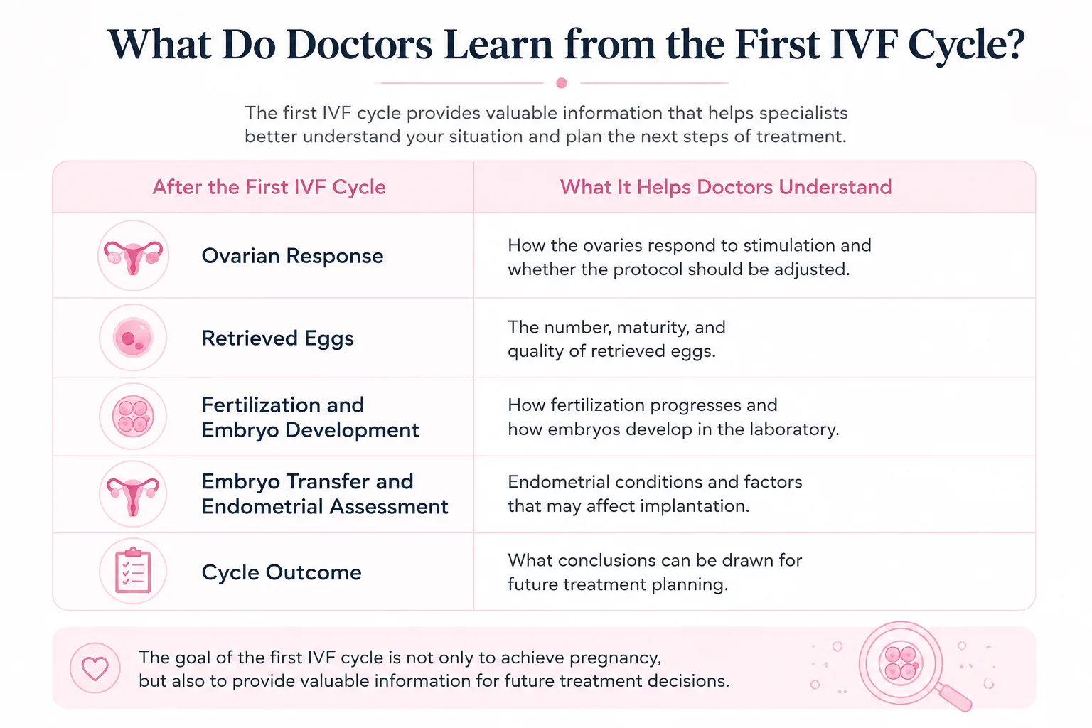 Infographic: what doctors learn from the first IVF cycle - ovarian response, retrieved eggs, fertilization, embryo transfer and cycle outcome